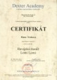 /album/fotogalerie-certifikaty/certifikat-vi-jpg1/